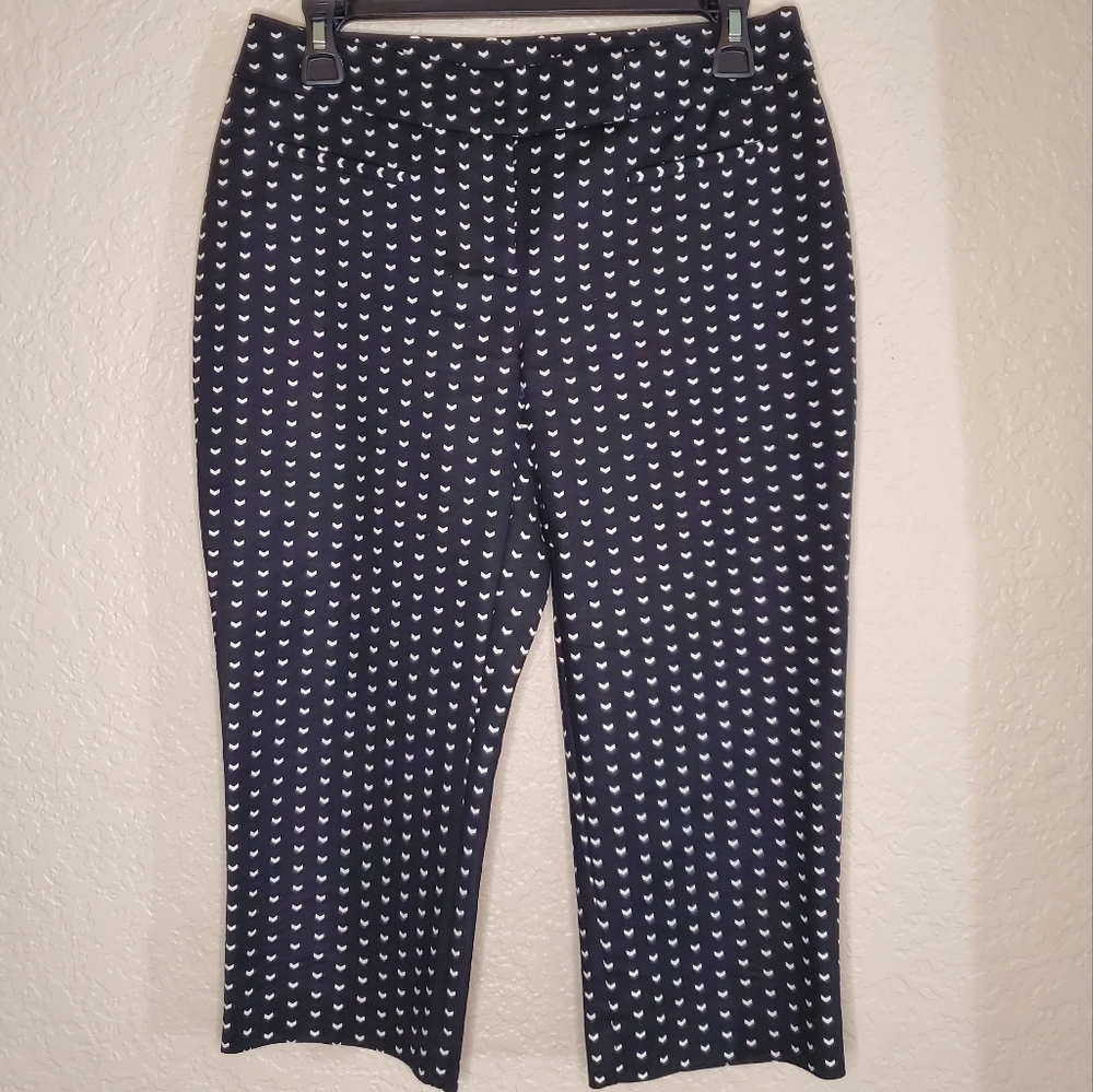 APT. 9 Capris Pants Size 2